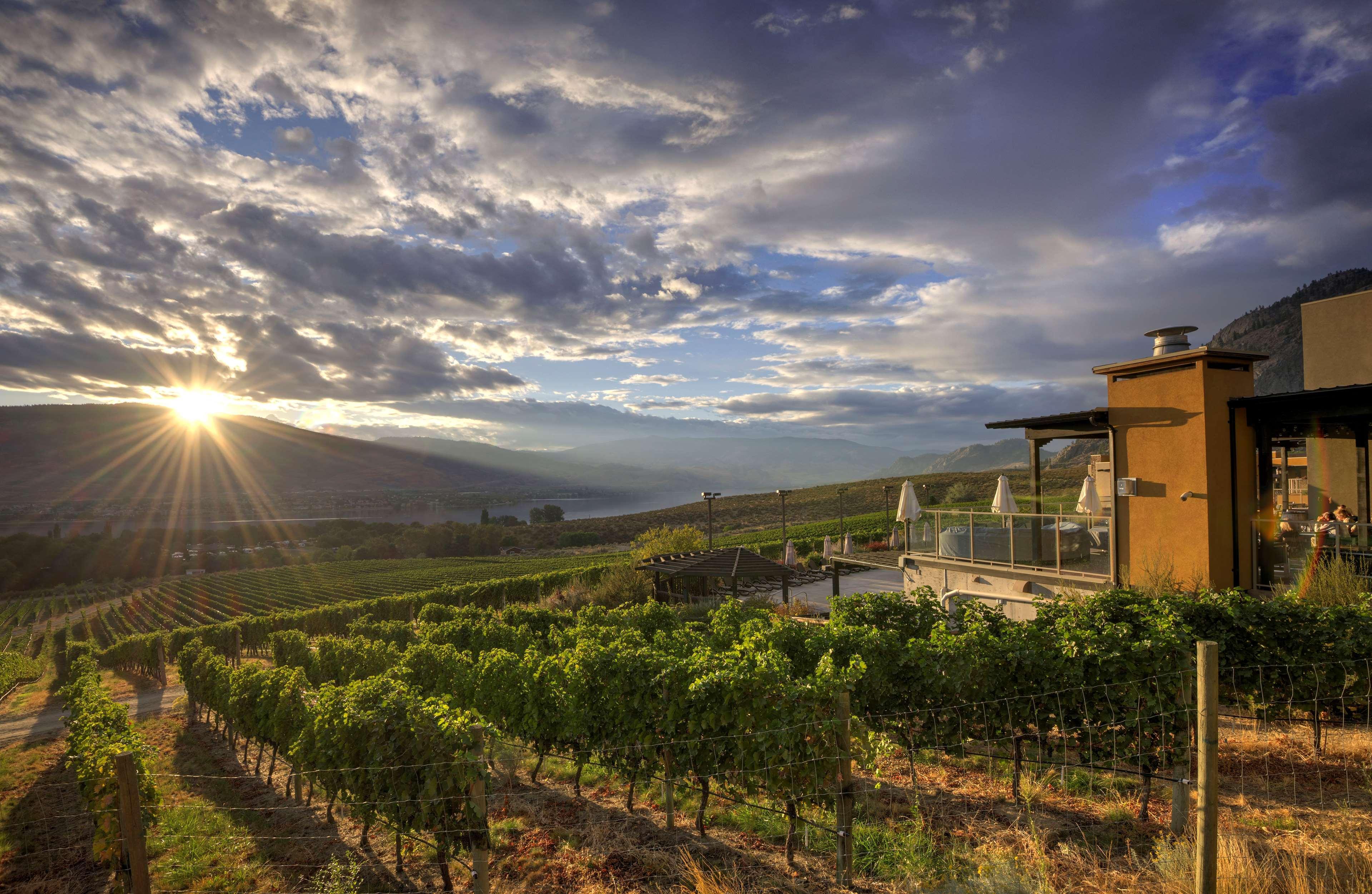 Spirit Ridge, In The Unbound Collection By Hyatt Hotel Osoyoos Exterior photo